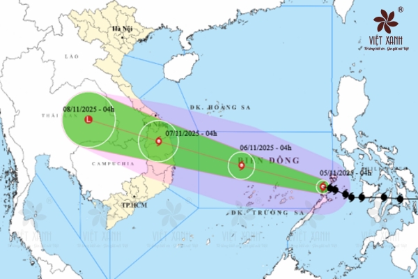 Theo dõi thông tin và chuẩn bị trước khi bão đến