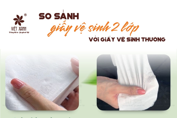 So sánh giấy vệ sinh 2 lớp với giấy vệ sinh thường