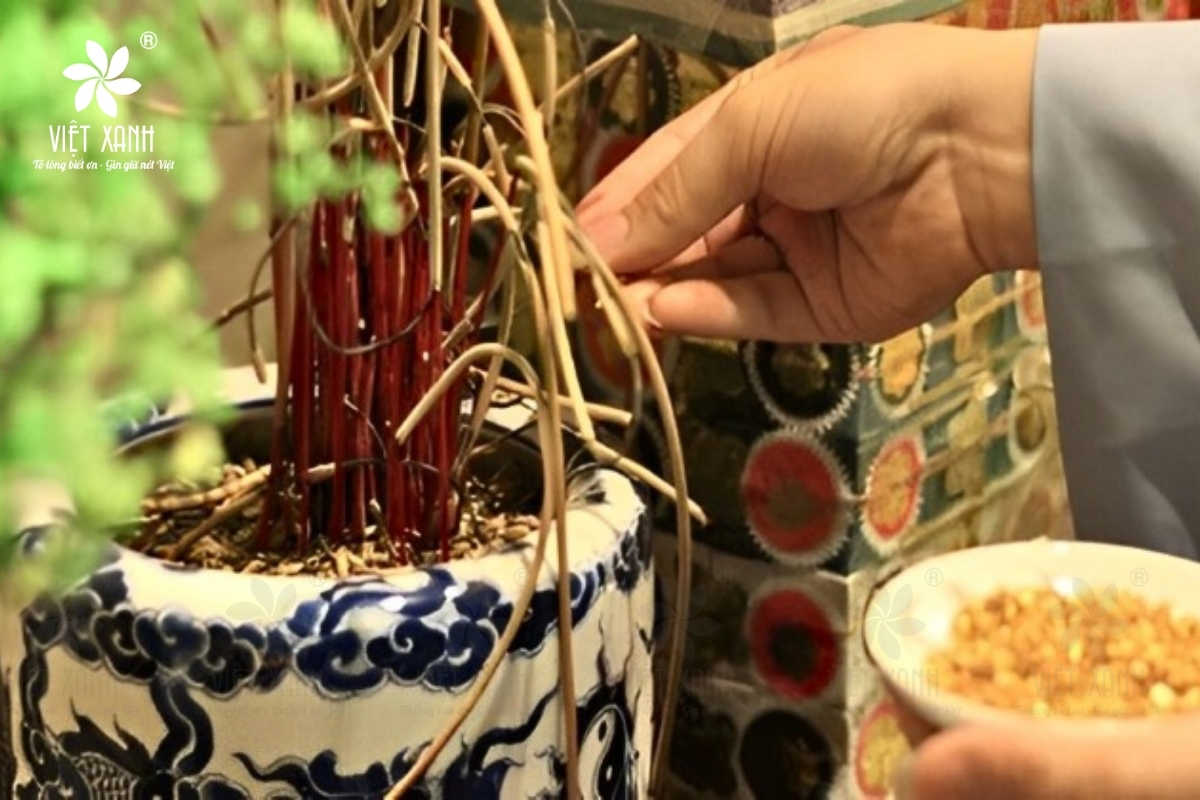 Các Chú Ý Khi Gia Chủ Đọc Văn Khấn Bao Sái Ban Thờ