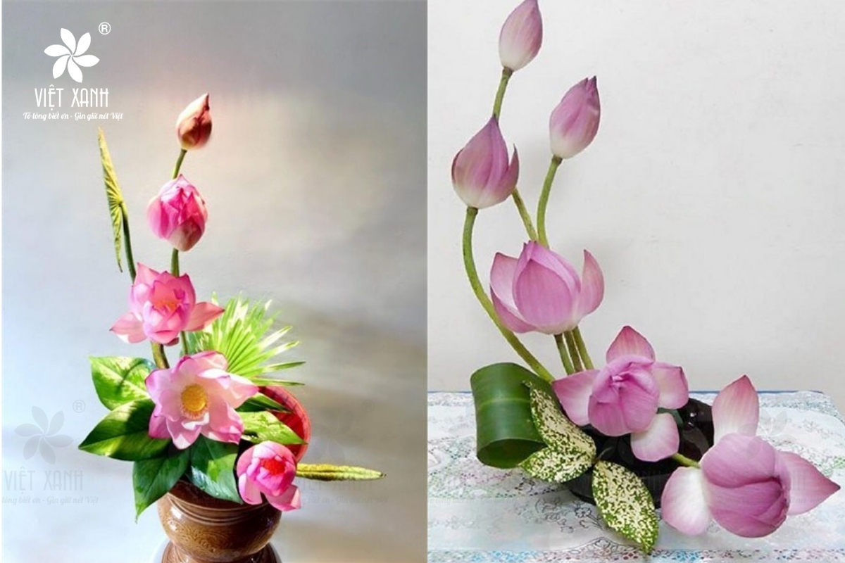 Cách cắm hoa sen hình chữ S giống bản đồ Việt Nam