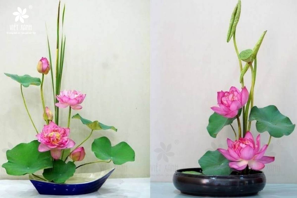 Cách cắm hoa sen theo phong cách Ikebana Nhật Bản