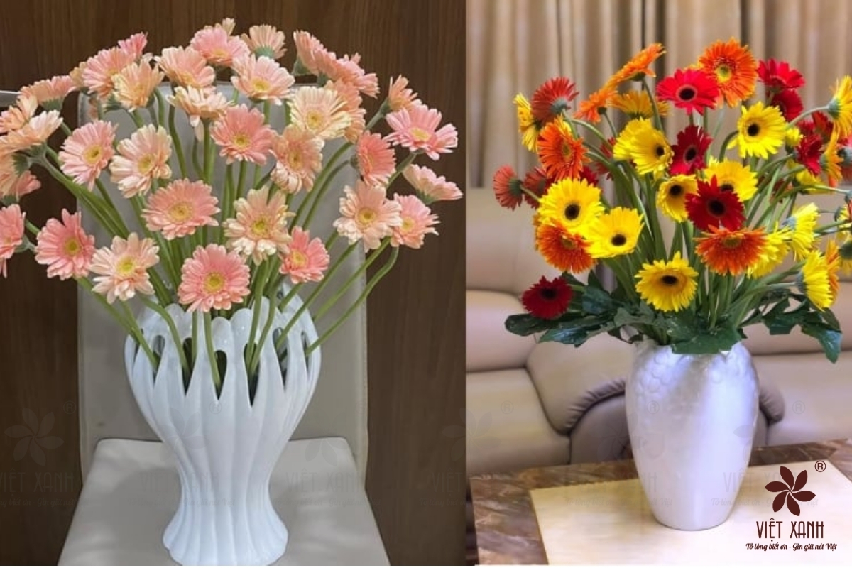 Mẫu cắm hoa đồng tiền