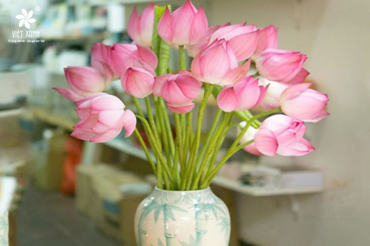 Tại sao nên chọn hoa sen để đặt lên bàn thờ