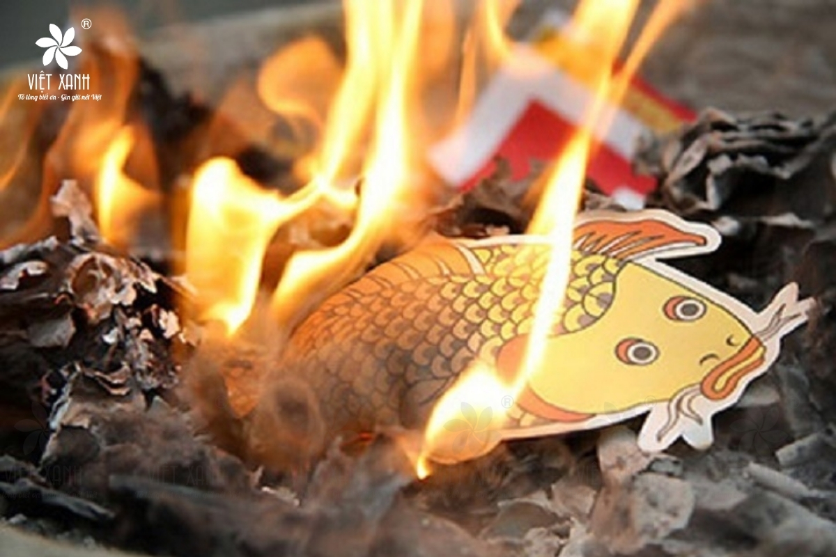 Các lựa chọn thay thế nếu không dùng cá chép sống