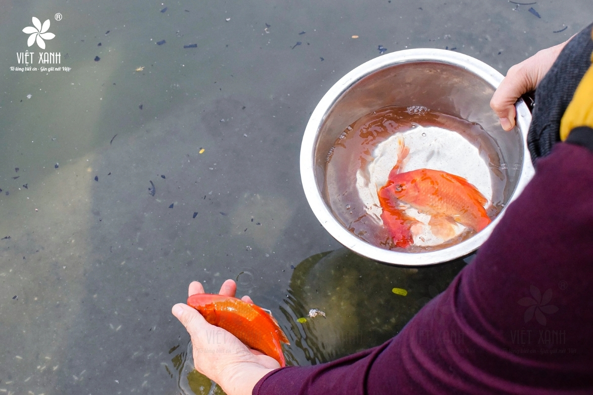 Ý nghĩa của tục lệ cúng cá chép ngày 23 tháng Chạp